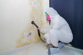 Best Asbestos and Lead Testing During Mold Inspection in Bakersfield, CA